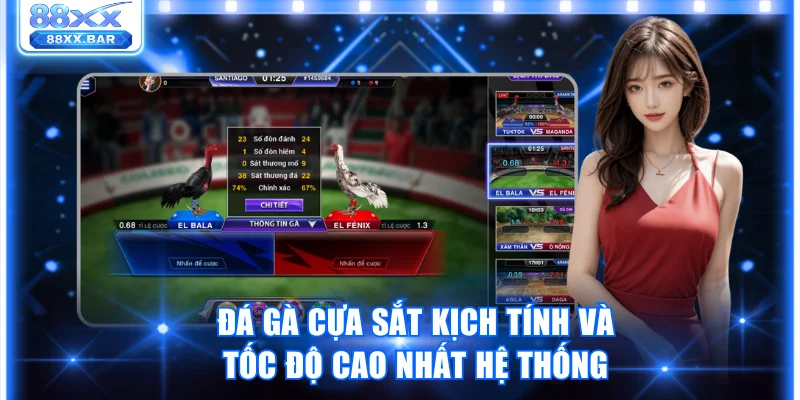 Đá gà cựa sắt kịch tính và tốc độ cao nhất hệ thống