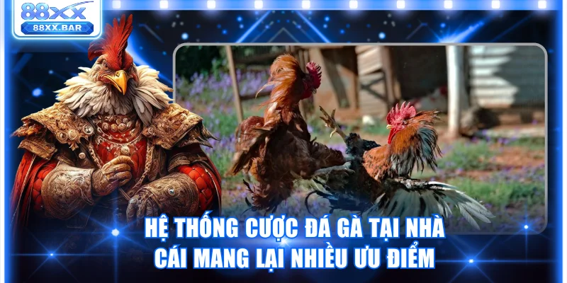 Hệ thống cá cược đá gà tại nhà cái mang lại nhiều ưu điểm