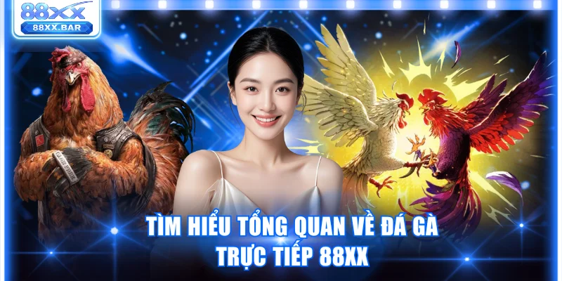 Tìm hiểu tổng quan về đá gà trực tiếp 88XX